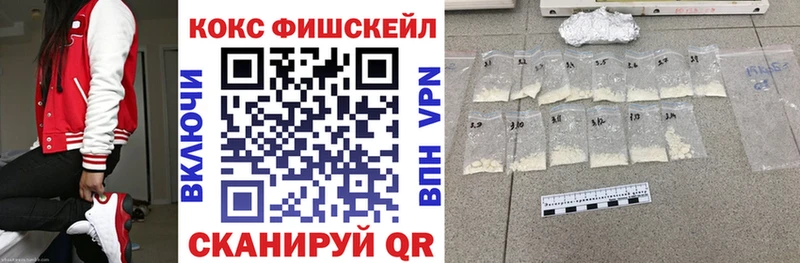 COCAIN FishScale  купить наркотики цена  Камышин 