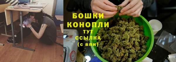 соль ск Кодинск
