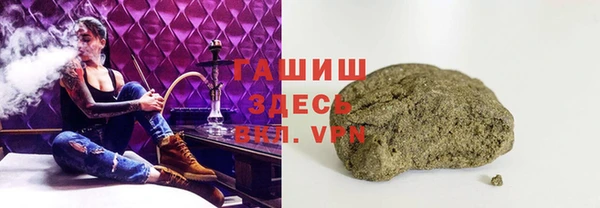 ГАЛЛЮЦИНОГЕННЫЕ ГРИБЫ Козловка