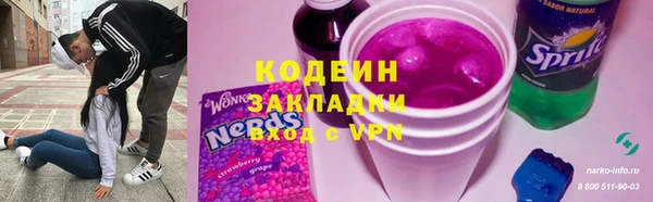 ГАЛЛЮЦИНОГЕННЫЕ ГРИБЫ Козловка