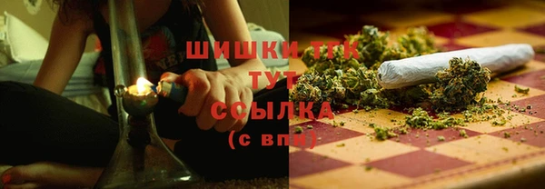 ГАЛЛЮЦИНОГЕННЫЕ ГРИБЫ Козловка