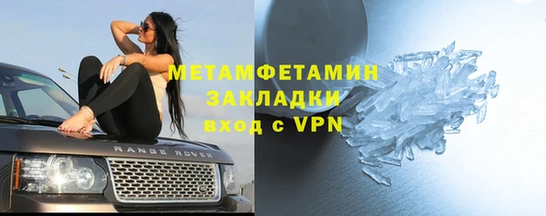 ГАЛЛЮЦИНОГЕННЫЕ ГРИБЫ Козловка