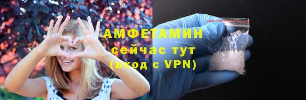 ГАЛЛЮЦИНОГЕННЫЕ ГРИБЫ Козловка