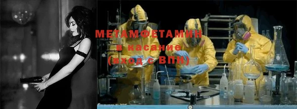 ГАЛЛЮЦИНОГЕННЫЕ ГРИБЫ Козловка