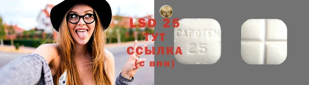 ГАЛЛЮЦИНОГЕННЫЕ ГРИБЫ Козловка