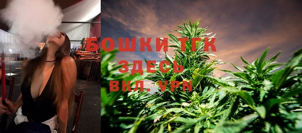 ГАЛЛЮЦИНОГЕННЫЕ ГРИБЫ Козловка