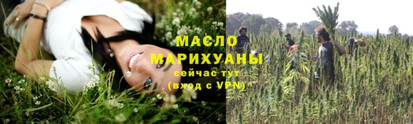 ГАЛЛЮЦИНОГЕННЫЕ ГРИБЫ Козловка