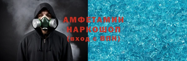 ГАЛЛЮЦИНОГЕННЫЕ ГРИБЫ Козловка
