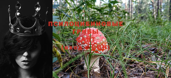 прущая мука Козельск