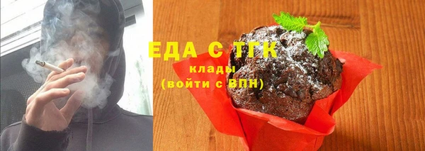 ГАЛЛЮЦИНОГЕННЫЕ ГРИБЫ Козловка