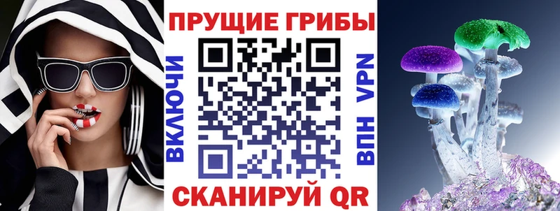 Галлюциногенные грибы GOLDEN TEACHER  hydra как зайти  Камышин 